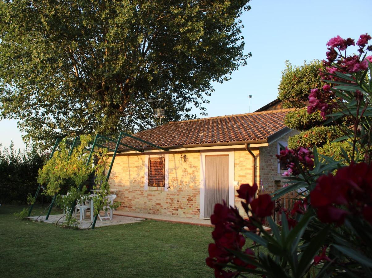 Agriturismo Terralieta 로세토데글리아브루찌 외부 사진
