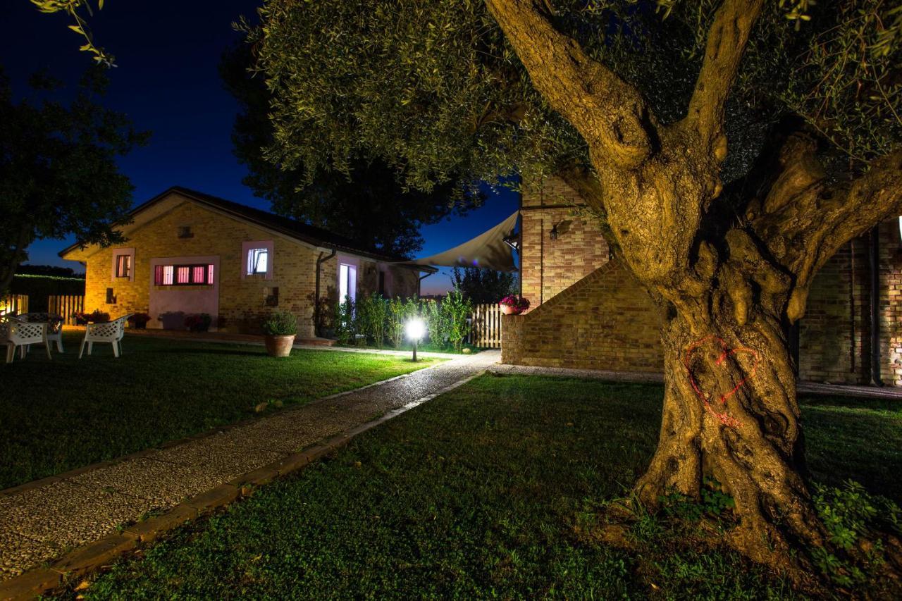 Agriturismo Terralieta 로세토데글리아브루찌 외부 사진