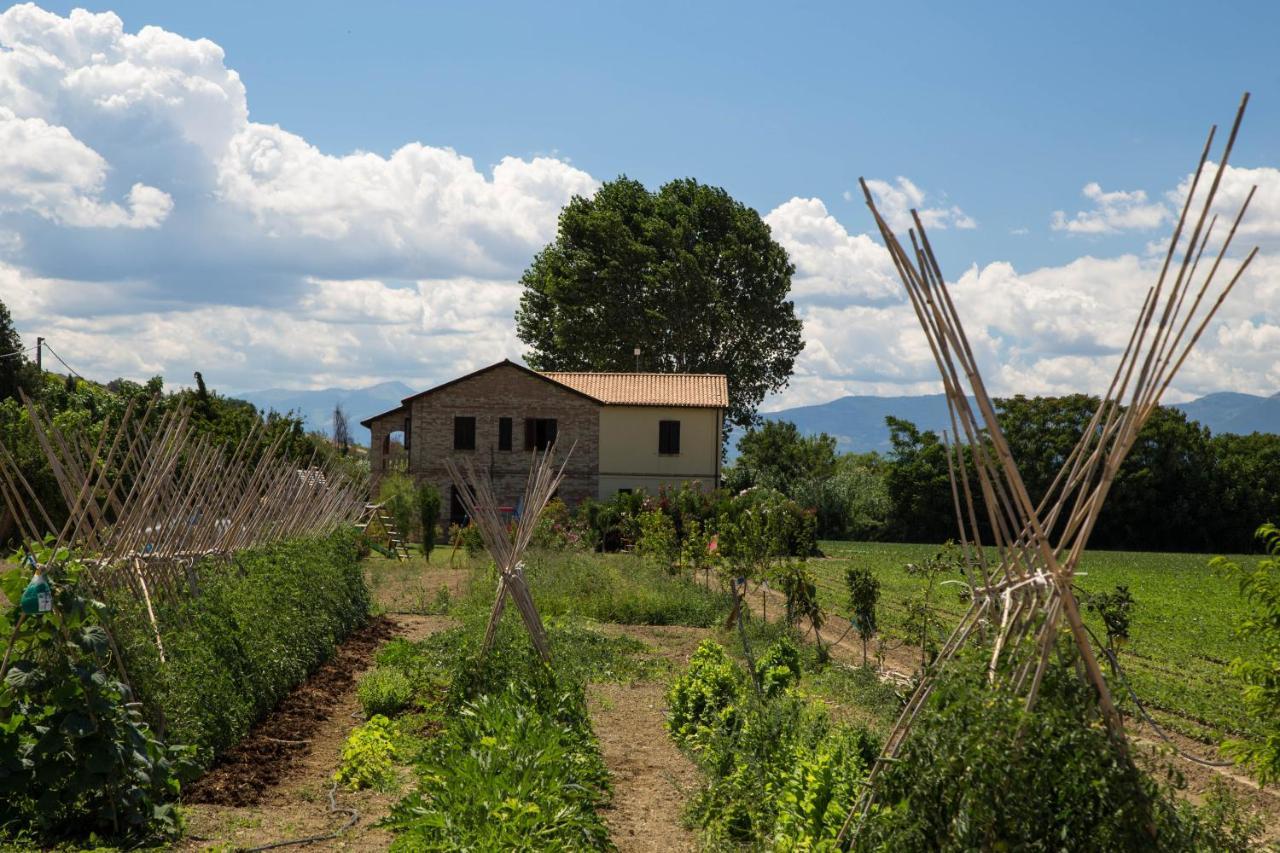 Agriturismo Terralieta 로세토데글리아브루찌 외부 사진